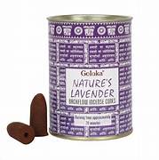 Backflow Incense Cones (24)