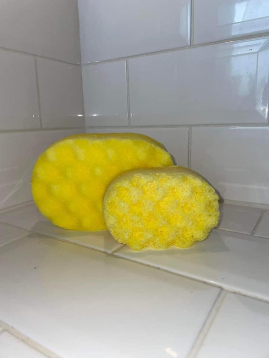 Fruity Exfoliating Soap Sponges (Large & Mini)